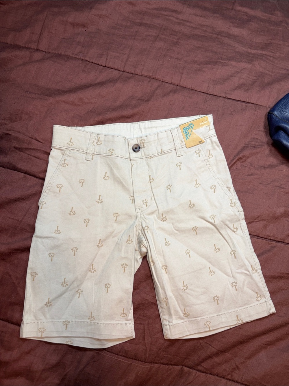 Boys Flat Front Short by ThereAbouts Brand. NWT!